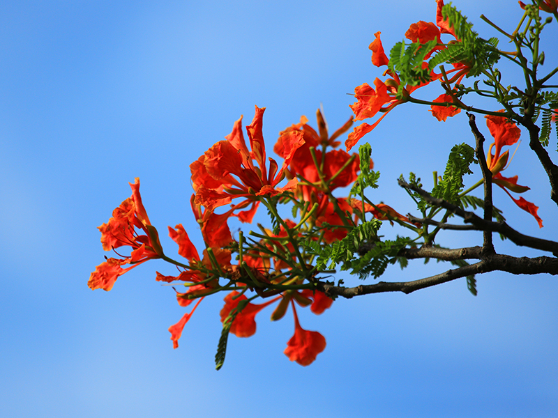 微信图片_20220609145939