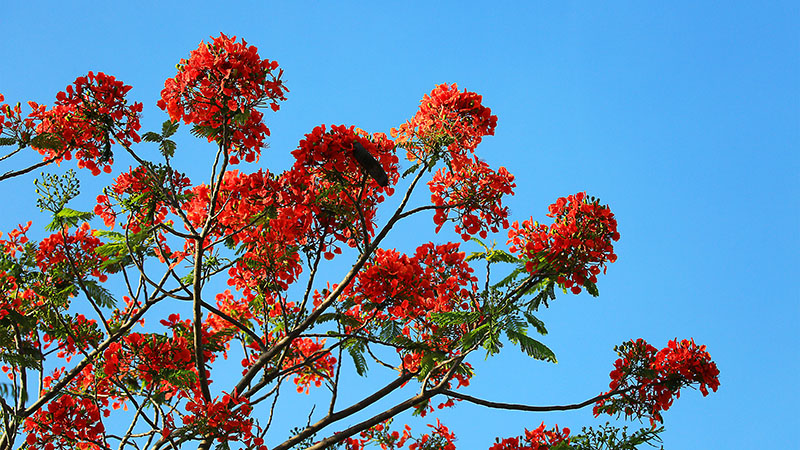 微信图片_20220609145914