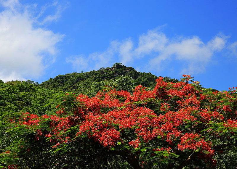 微信图片_20220609145923