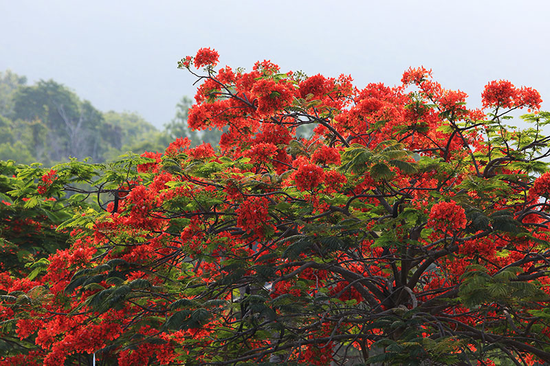 微信图片_20220609150005