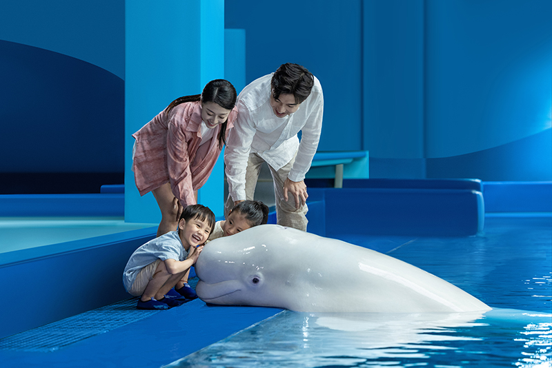 Beluga Photo Fun探班白鲸明星 (3)