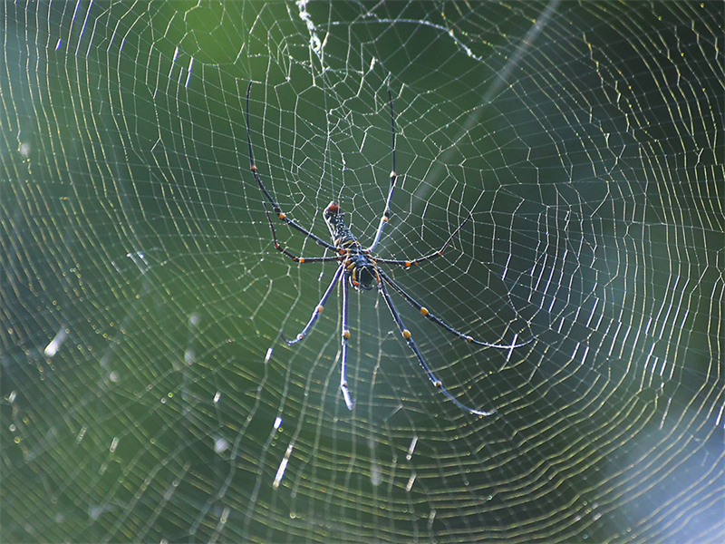 20240815164857_35990