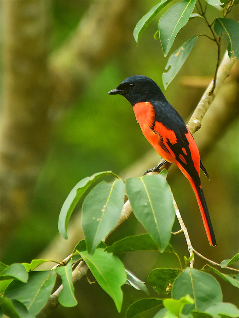 20240815165122_30117