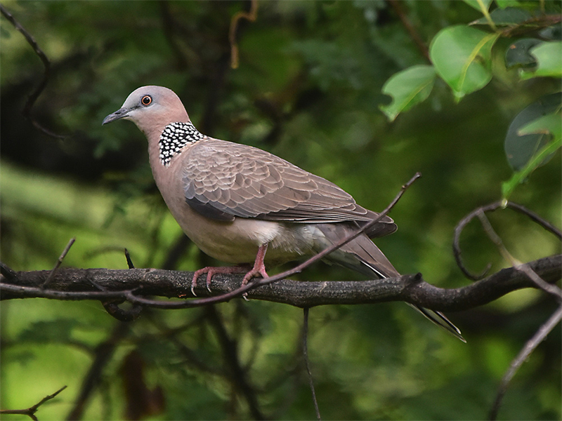 20240815165245_15062