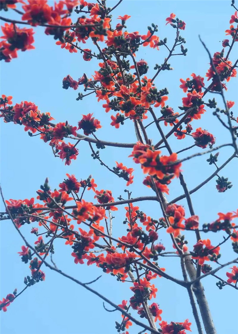 微信图片_20250221203952