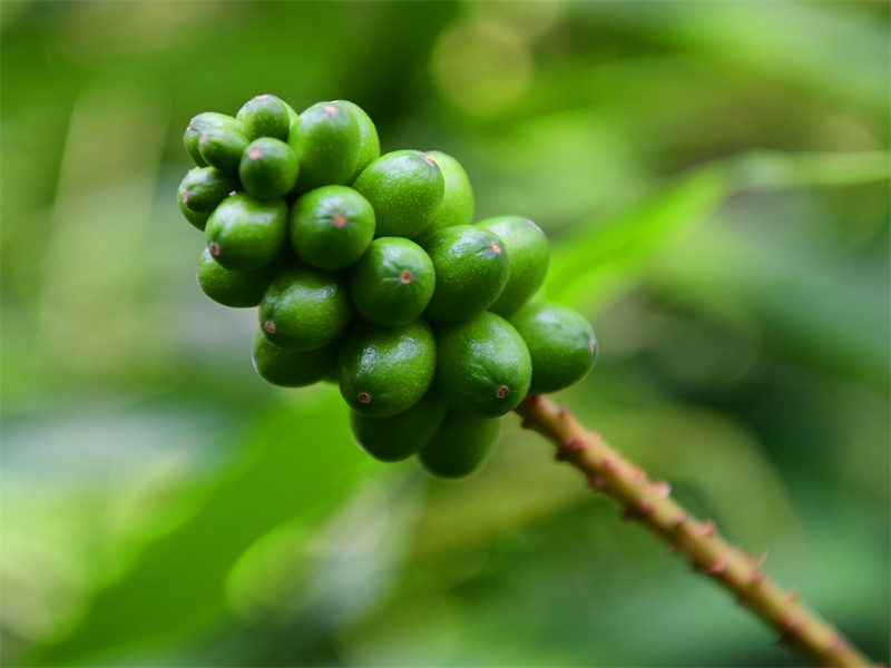 微信图片_20260410085643_1756_5 微信图片_20260410085643_1756_5