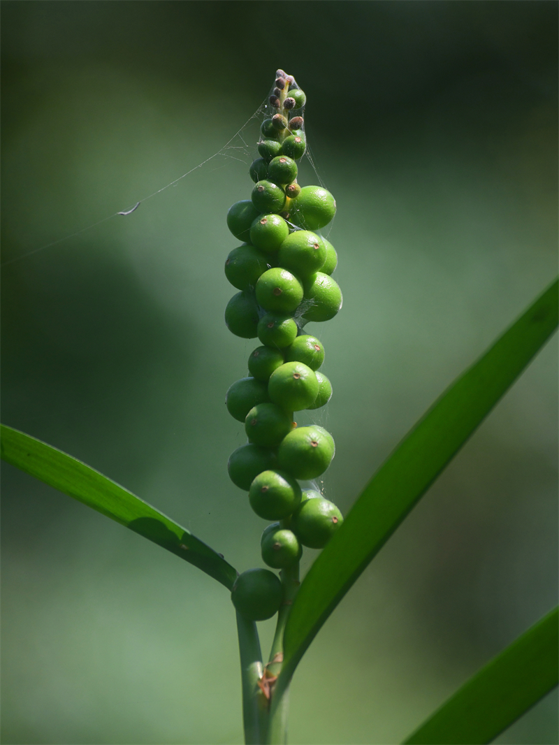 微信图片_20260410085642_1755_5