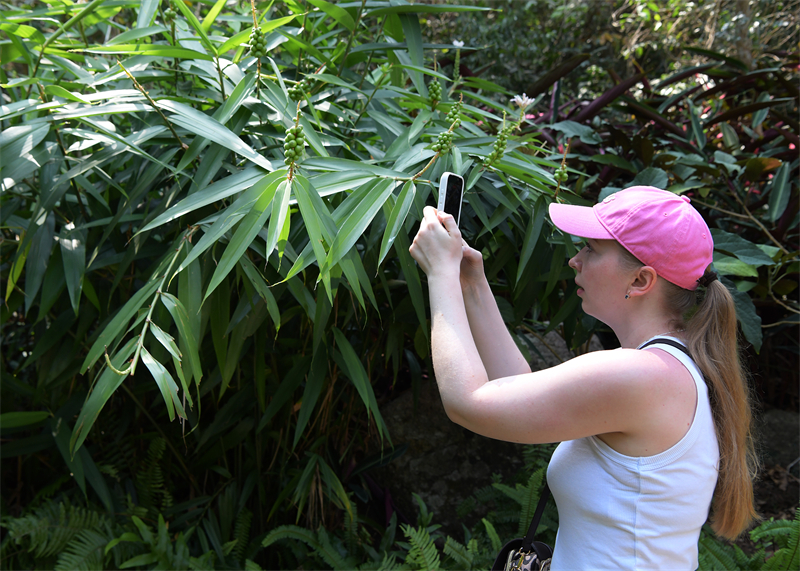 微信图片_20260410085644_1757_5 微信图片_20260410085644_1757_5