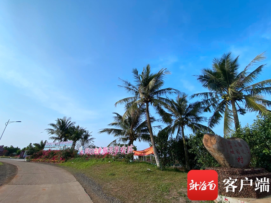 海口琼山道崇村：“红色旅游+绿色产业” 让革命老村焕发生机