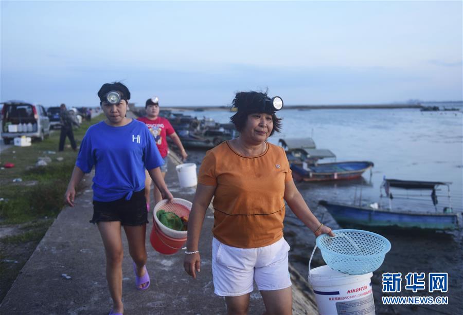 #（社会）（5）海南琼海：赶海拾贝