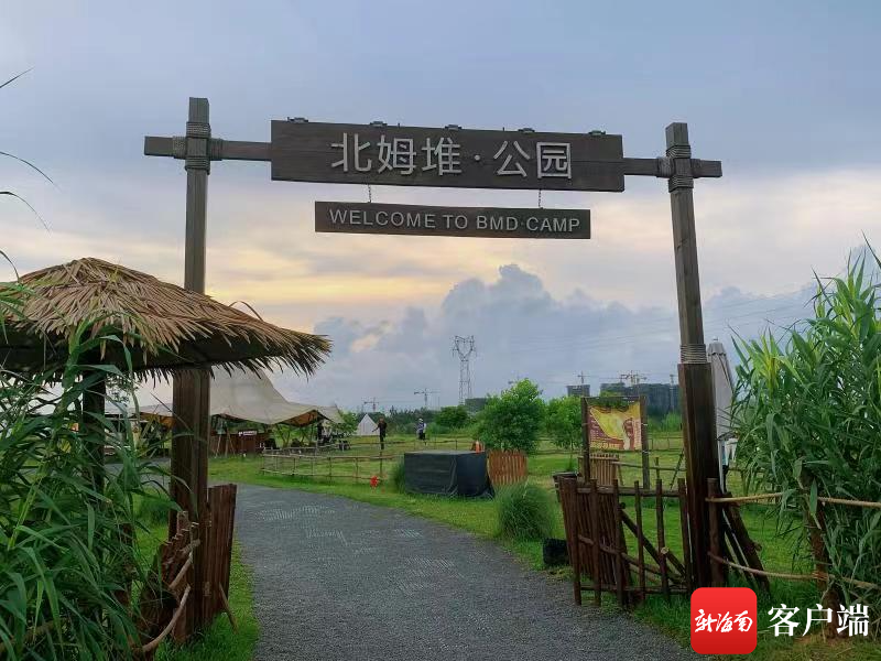 插入图片