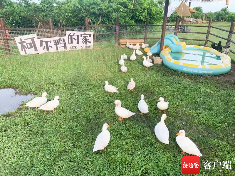 插入图片